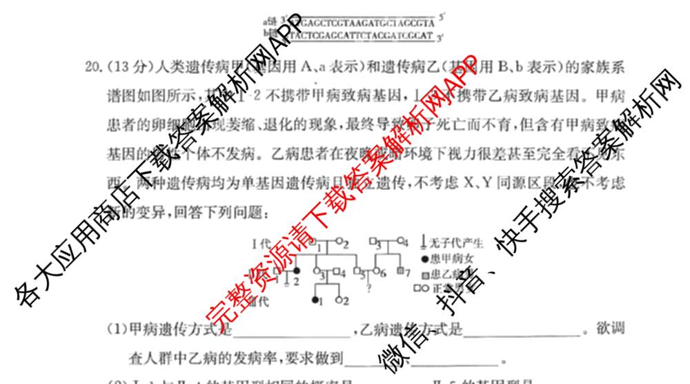 甘肃省白银市2024-2025学年高一年级下学期期末考试模拟卷(二)(GSZW)各科答案及试卷: 含语文、数学、物理试卷解析生物试题