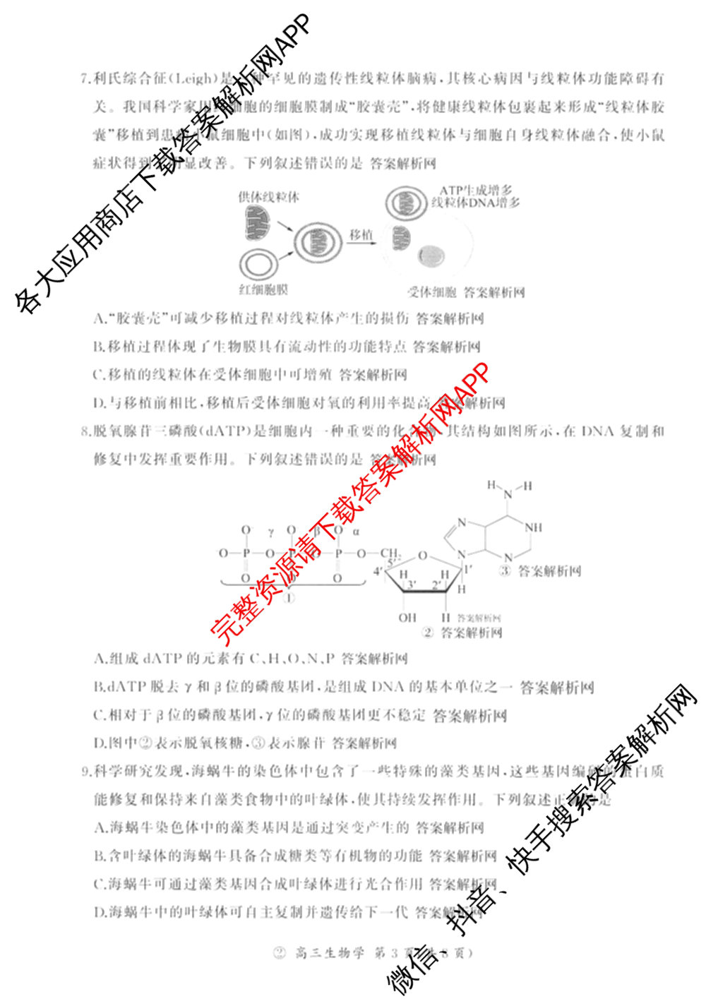百师联盟2027届高三一轮复联考(二)(9.22)(无标题②)（33科全）生物试题