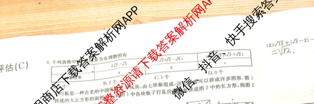 山西省2024~2025学年度八年级阶段评估(C)[PGZX D SHX(五)]试卷及答案汇总（含历史(R)、数学(HSD)、语文(R)等）数学试题
