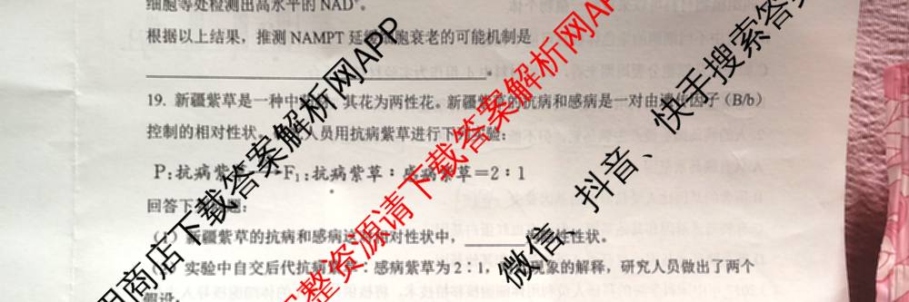 安徽省阜阳市2025-2026学年下学期高一年级第一次学业质量检测(3月)各科答案及试卷（含化学 历史 政治等9份）生物试题