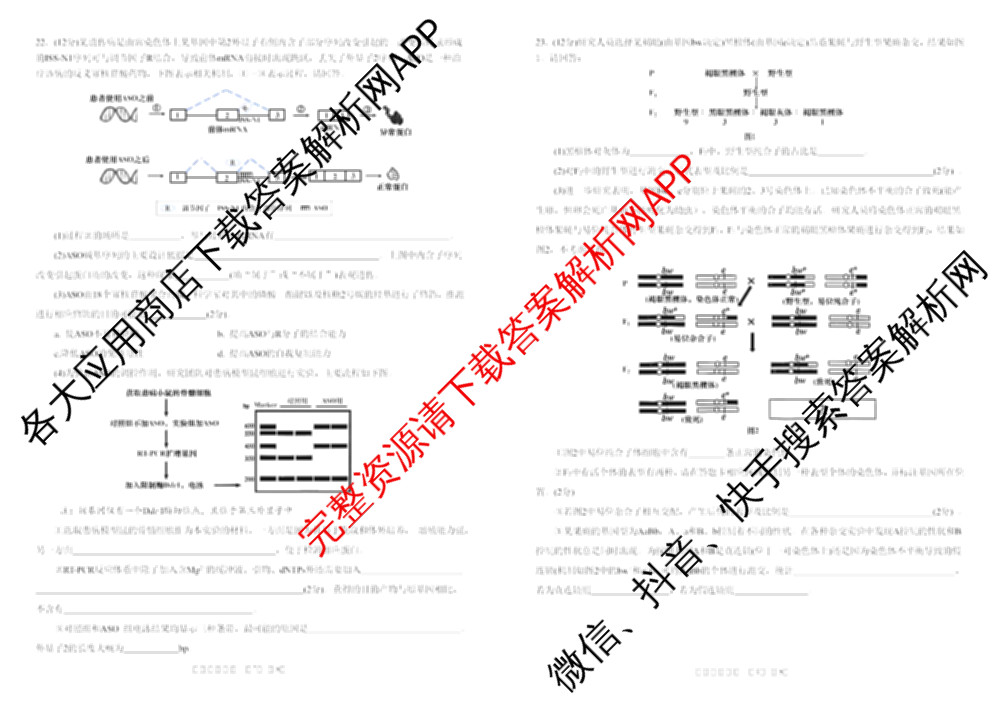 安徽省合肥一中2025-2026年高三1月月考（含政治、数学、历史等）生物试题
