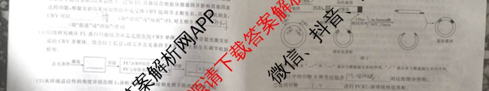 2025届高三部分重点中学3月联合测评(T8联考)(第二次八省联考)(已更新化学(HBZB)、历史(SXZB)、语文等25份)生物试题