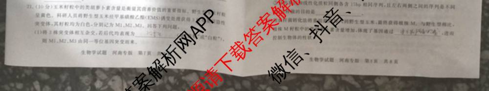 2025届高三部分重点中学3月联合测评(T8联考)(第二次八省联考)(已更新化学(HBZB)、历史(SXZB)、语文等25份)生物试题