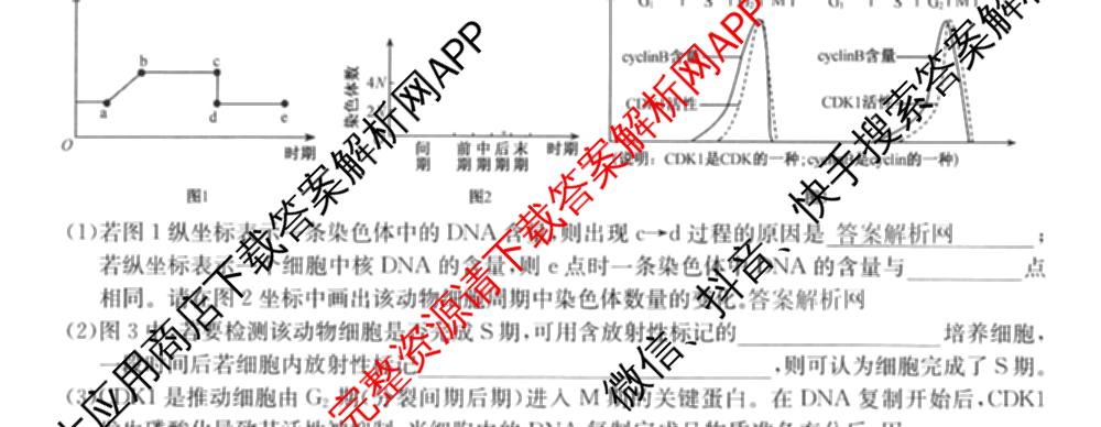 全国名校大联考2025~2026学年高三第一次联考(月考)(已更新化学(A1)、生物(A2)、地理(A2)等11份)生物试题