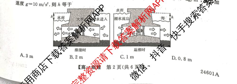 金科大联考2023-2024学年高一5月质量检测卷(24601A)(已更新英语、语文、生物等10份)物理试题