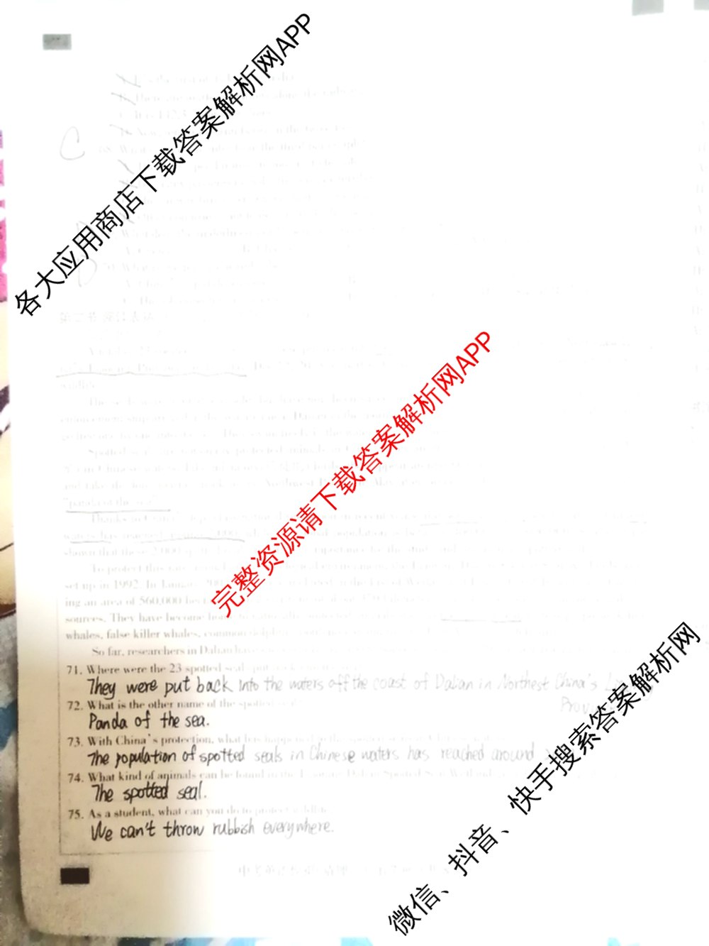 2025年名校计划河北省初中学业水模拟考试(猜押一)各科答案及试卷（含化学、英语、语文等）英语试题