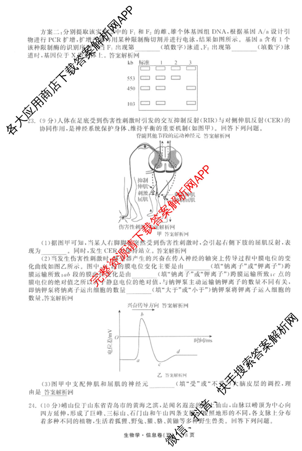 天舟高考衡中同卷2026年普通高等学校招生全国统一考试模拟信息卷(五)5（含理综(新疆版)、生物(WY)、英语(B)等）生物试题