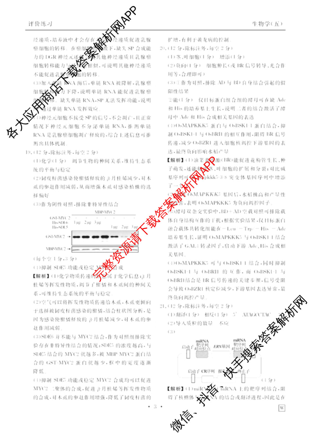 衡水金卷先享题2026年学科素养评价练(五)5各科答案及试卷（含政治(AH)【安徽四川甘肃专版】 物理(HN)【湖南专版】 生物(山东专版)等）生物答案