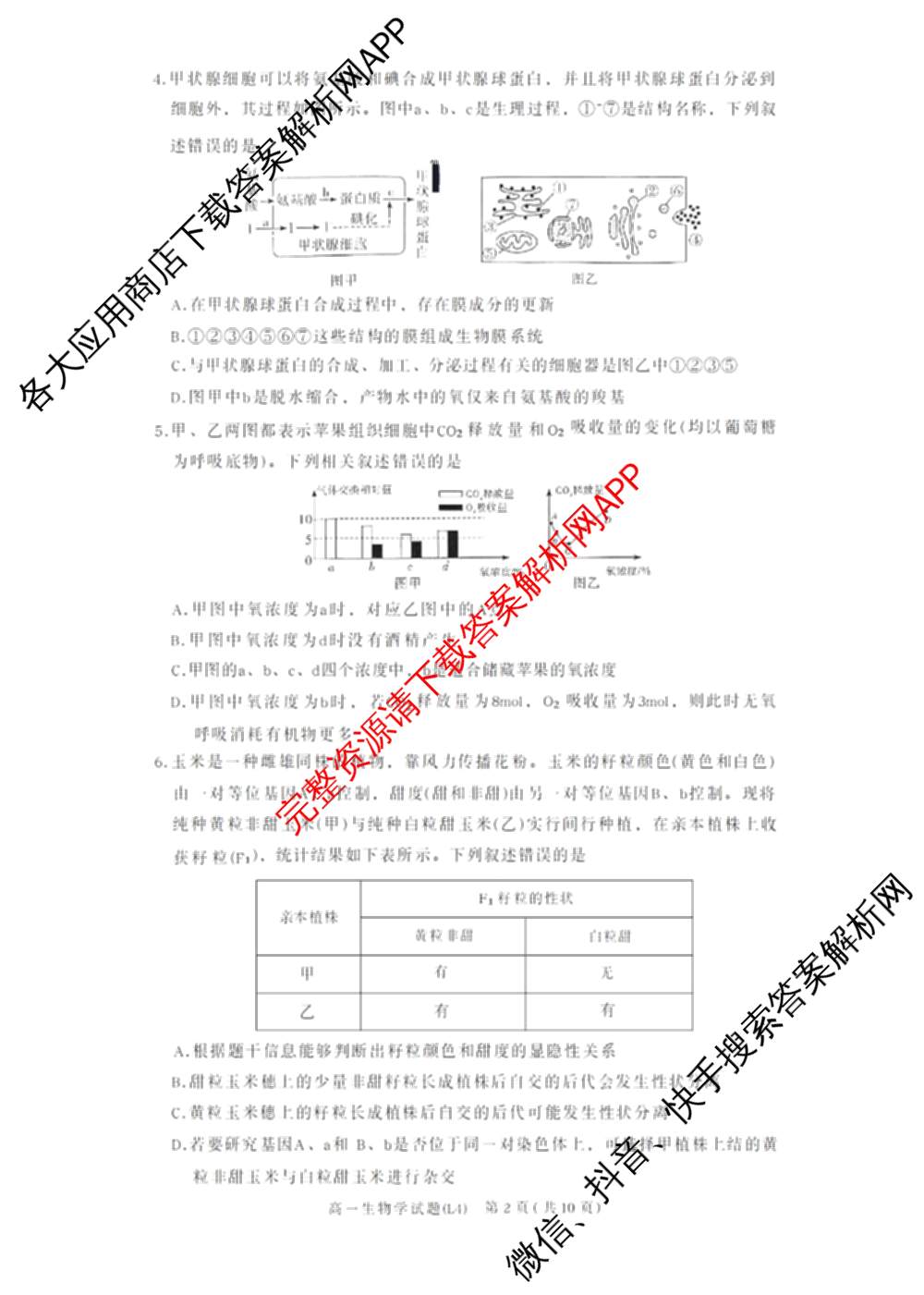 炎德英才大联考2025-2026学年高一4月考试(L4)各科答案及试卷(已更新物理(L4 A) 化学(A-L4) 化学(C-L4)等11份)生物试题