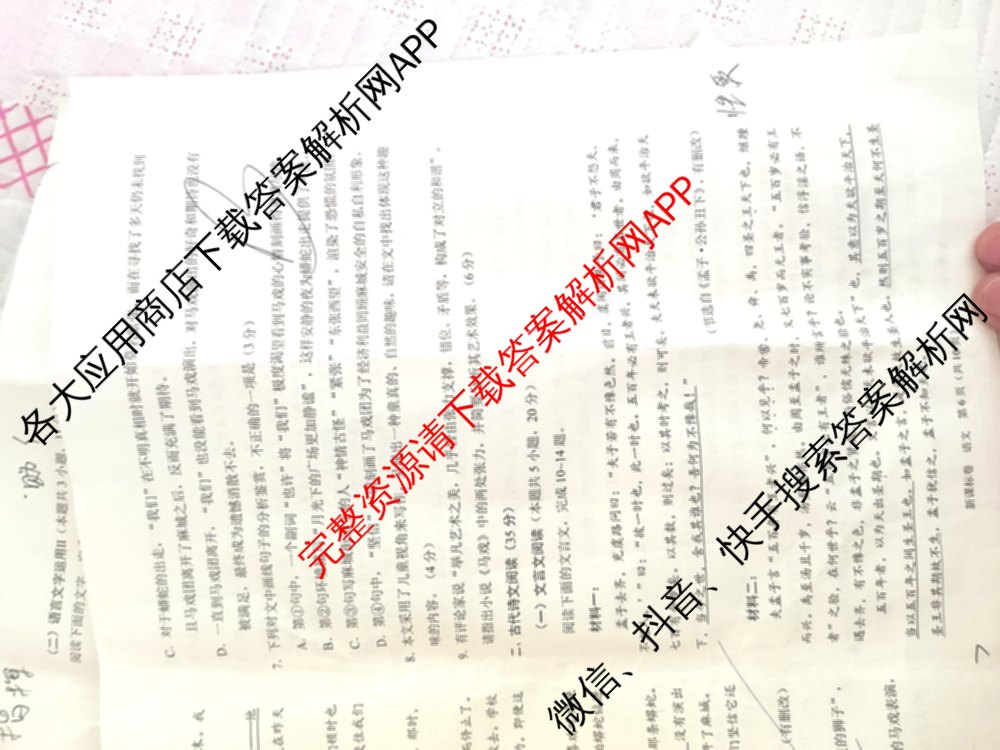 学科网2025届高三10月大联考各科答案及试卷（含历史(新课标卷) 语文(新课标卷) 语文(新高考卷)等17份）语文试题