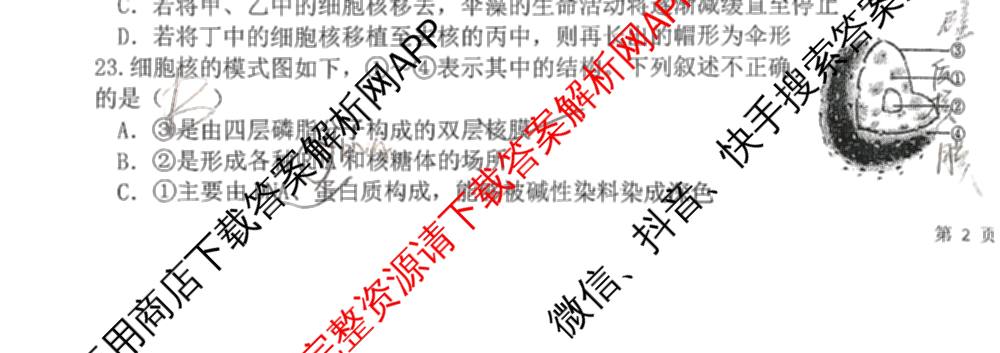 陕西省榆林市第二中学2025-2026学年第一学期分班考试高一年级（含语文 化学 地理等）生物试题