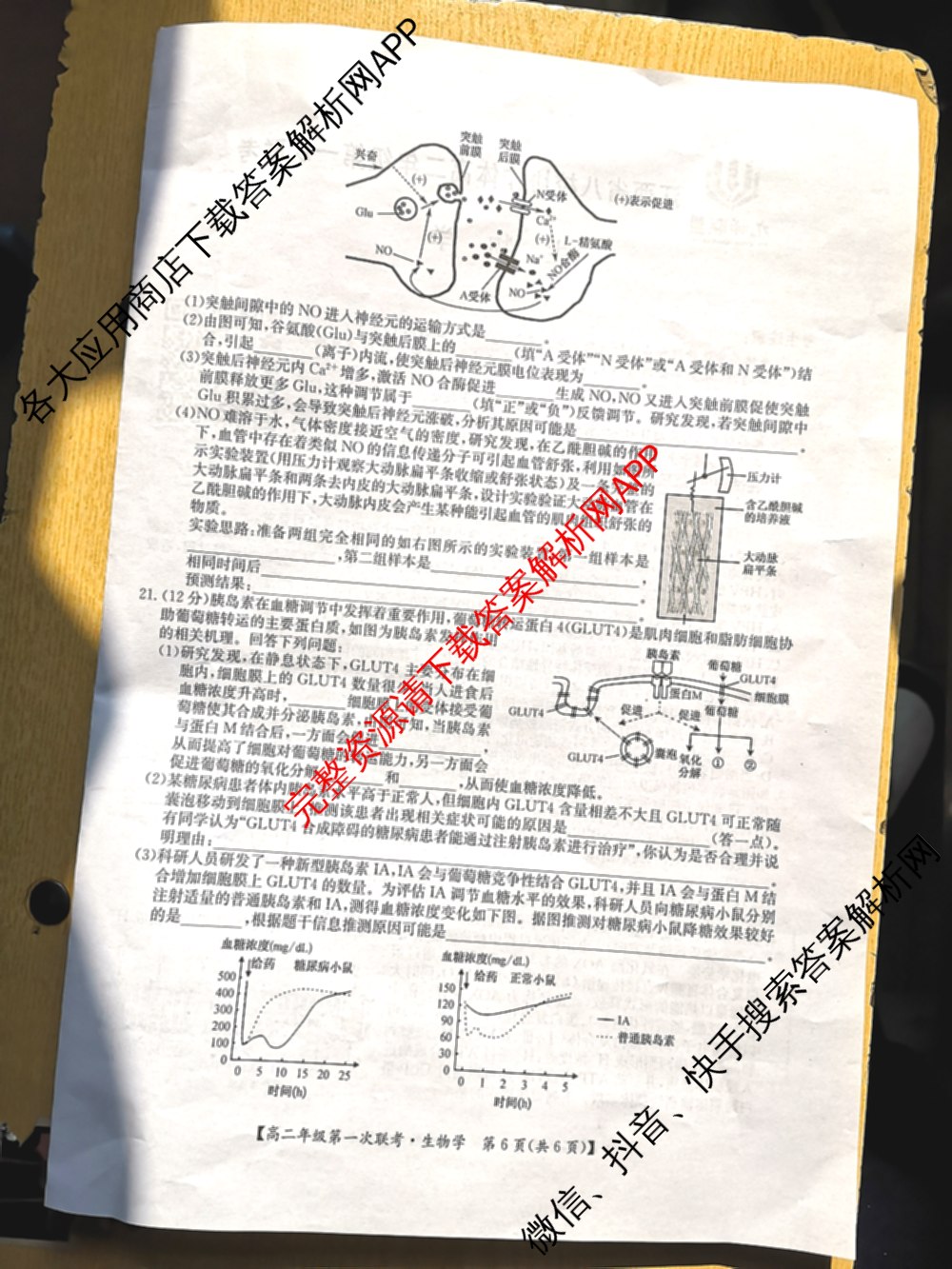 九师联盟2024-2025学年江西省八校协作体高二年级第一次联考各科答案及试卷(已更新生物、化学、语文等9份)生物试题