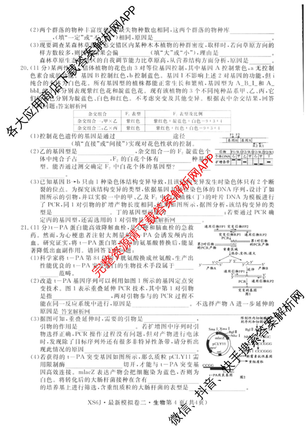 2026年普通高等学校招生统一考试最新模拟卷(二)2(已更新语文(XS6G) 数学(XS6) 政治(HEN6)等13份)生物试题