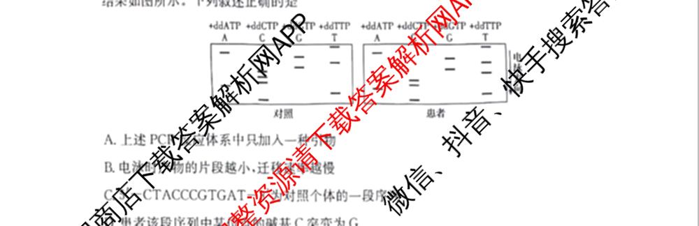 2024年高考真题(新高考)(已更新生物(山东卷) 数学(新课标II卷) 物理(河北卷)等108份)生物试题