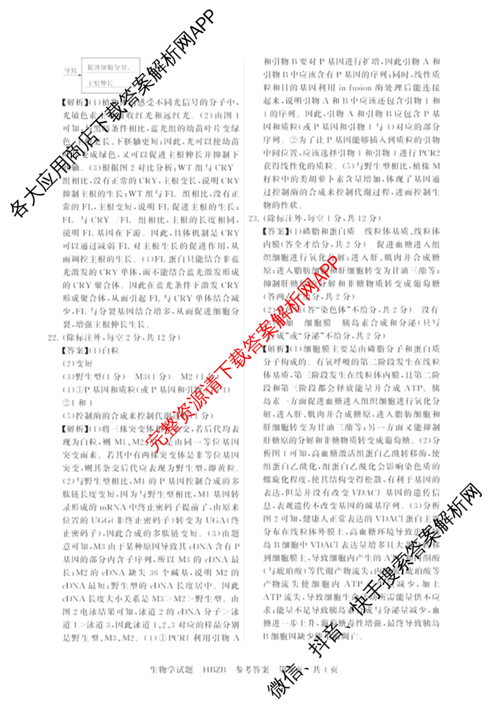 2025届高三部分重点中学3月联合测评(T8联考)(第二次八省联考)(已更新化学(HBZB)、历史(SXZB)、语文等25份)生物答案
