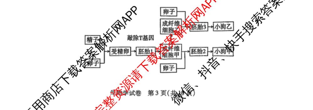 内蒙古包头市2025-2026学年度第二学期高二年级期末教学质量监测试卷试卷及答案汇总（含历史 地理 英语等9份）生物试题