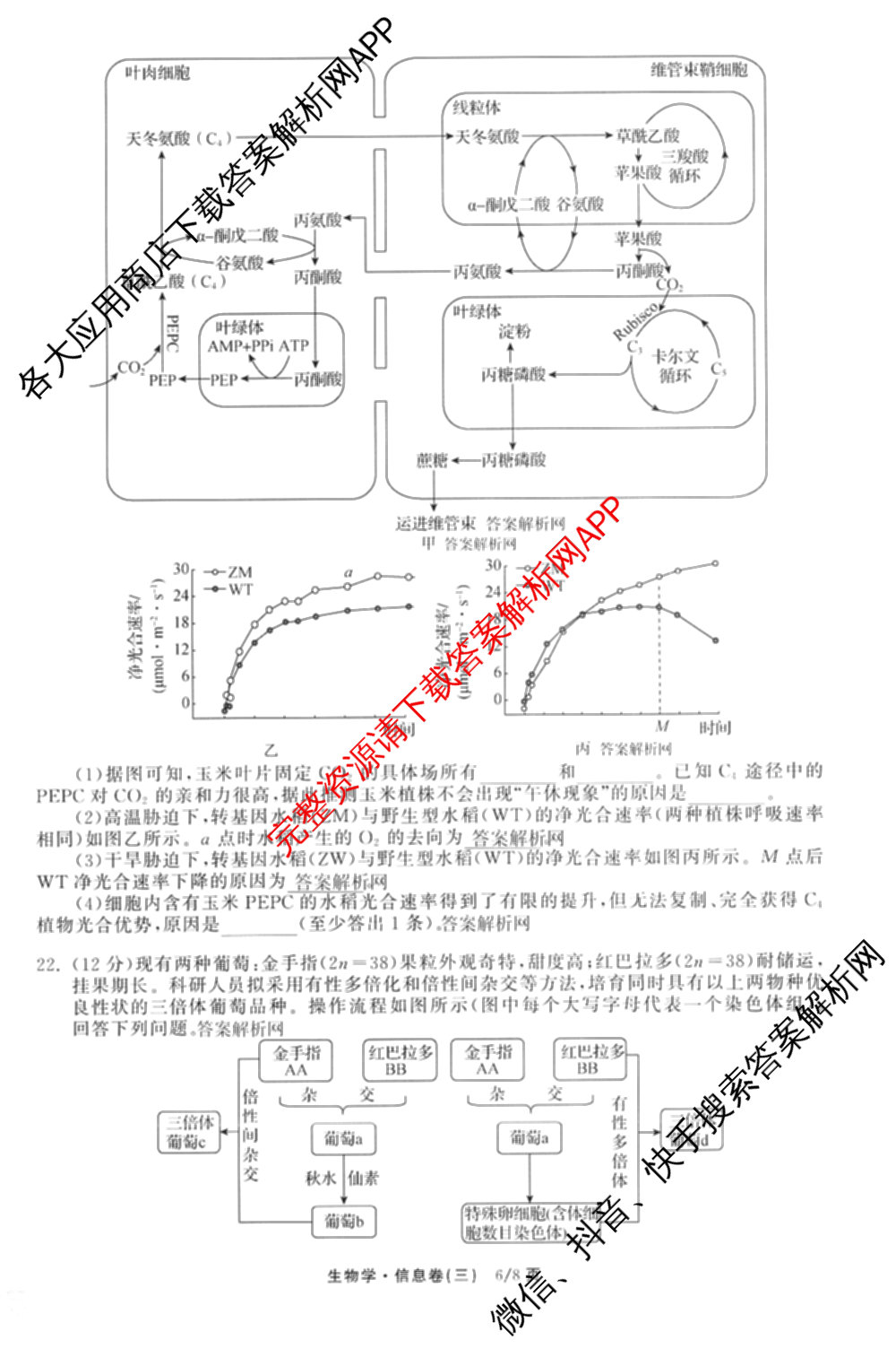 天舟高考衡中同卷2026年普通高等学校招生全国统一考试模拟信息卷(三)3试卷及答案汇总（含历史(GY) 物理(安徽版) 英语(通用版)等）生物试题