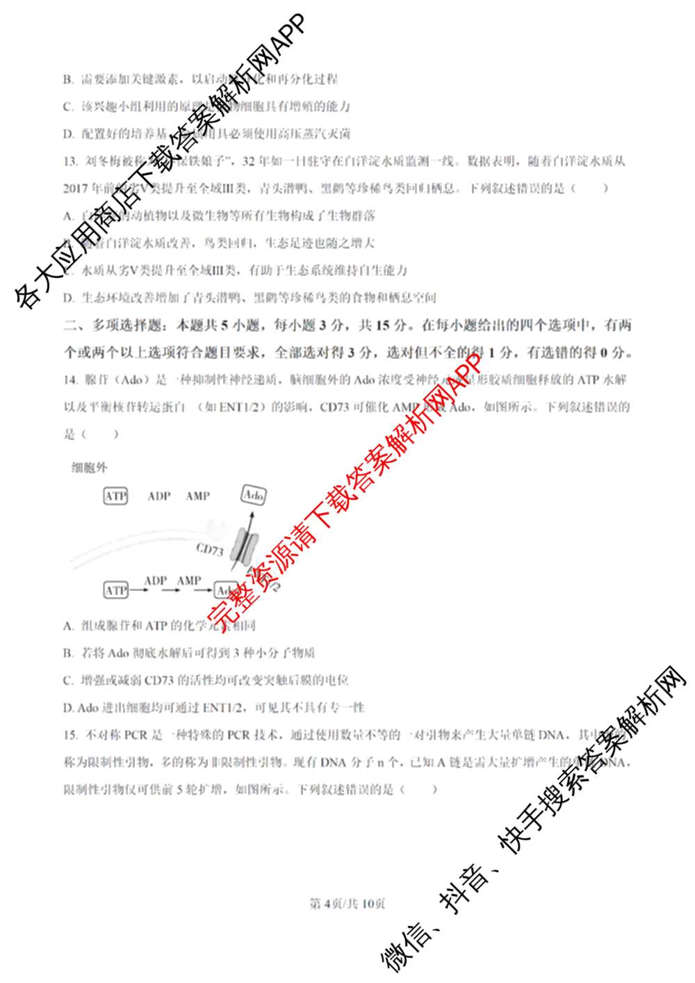 河北省沧州市十校2026届高三一模考试(4.8无标题): 含地理、化学、英语试卷解析生物试题
