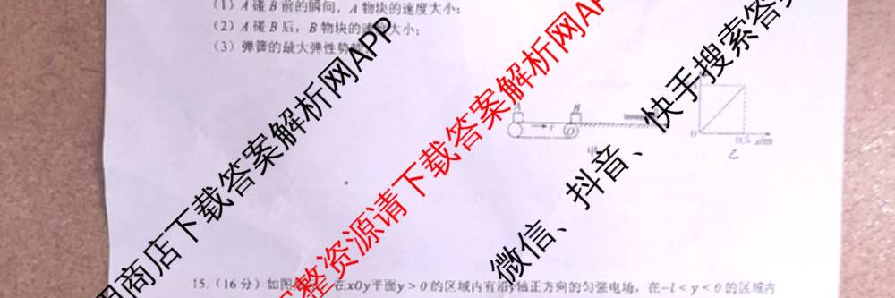 南宁三中2025届毕业班五月第二次适应性测试(2025.05)(已更新化学 历史 物理等9份)生物试题