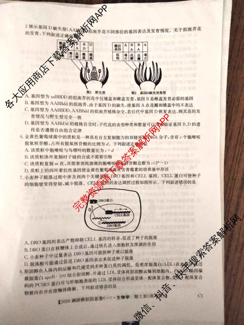 2026届全国高考调研模拟信息卷(一)1各科答案及试卷（含生物(C4) 生物(C2) 物理(C1)等）生物试题