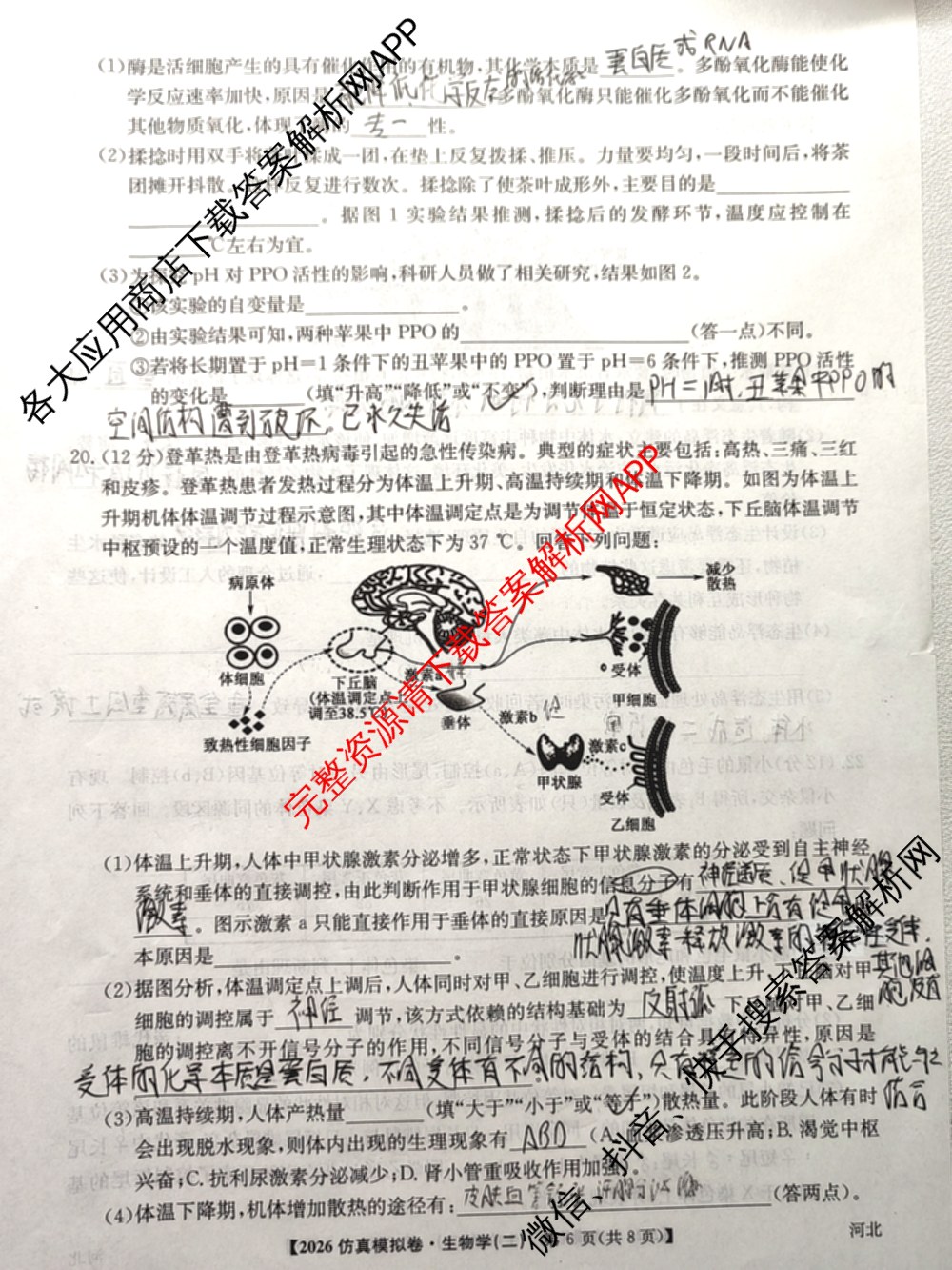 2026年普通高等学校招生全国统一考试仿真模拟卷(二)2（含生物(F2)、物理(F1)、政治(F2)等）生物试题
