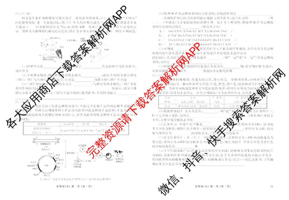衡水金卷先享题2026年学科素养评价练(五)5各科答案及试卷（含政治(AH)【安徽四川甘肃专版】 物理(HN)【湖南专版】 生物(山东专版)等）生物试题
