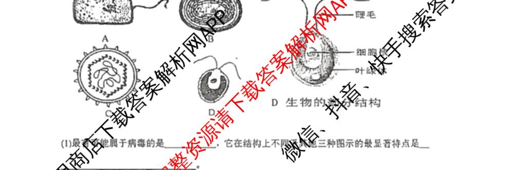 湖南省娄底四中2025年下期高一第一次月考各科答案及试卷（含历史 物理 英语等）生物试题