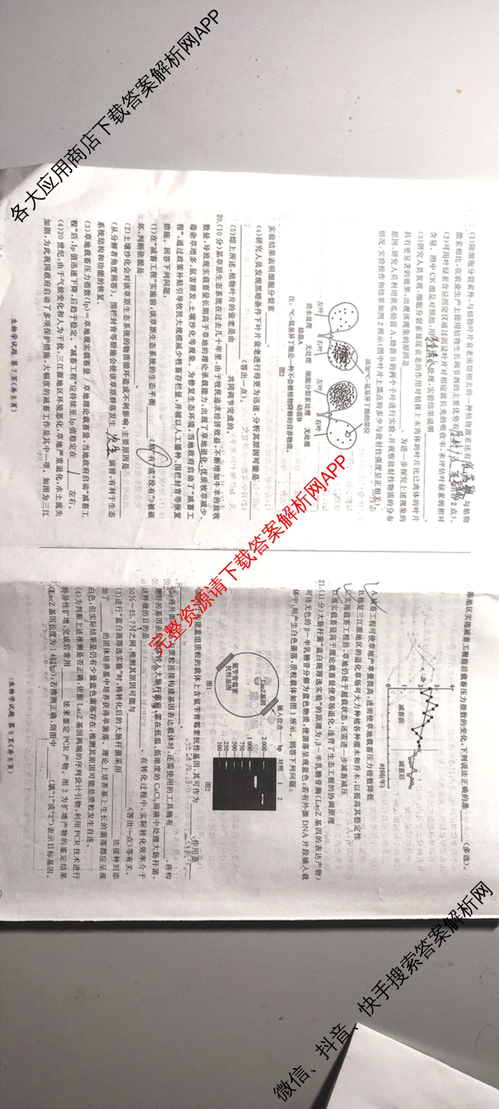 百师联盟2026届高三考前适应性训练(五)试卷及答案汇总（含生物(百F)、生物(百G)、英语(百)等）生物试题