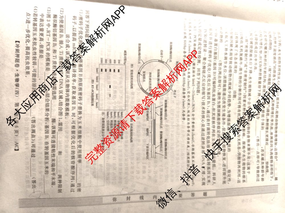 2026普通高等学校招生全国统一考试冲刺押题卷(四)4试卷及答案汇总: 含化学 语文 生物(AC)试卷解析生物试题