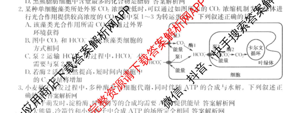 2026年普通高等学校招生全国统一考试猜题信息卷(一)1各科答案及试卷（含物理(AH) 语文 化学(FJ)等）生物试题