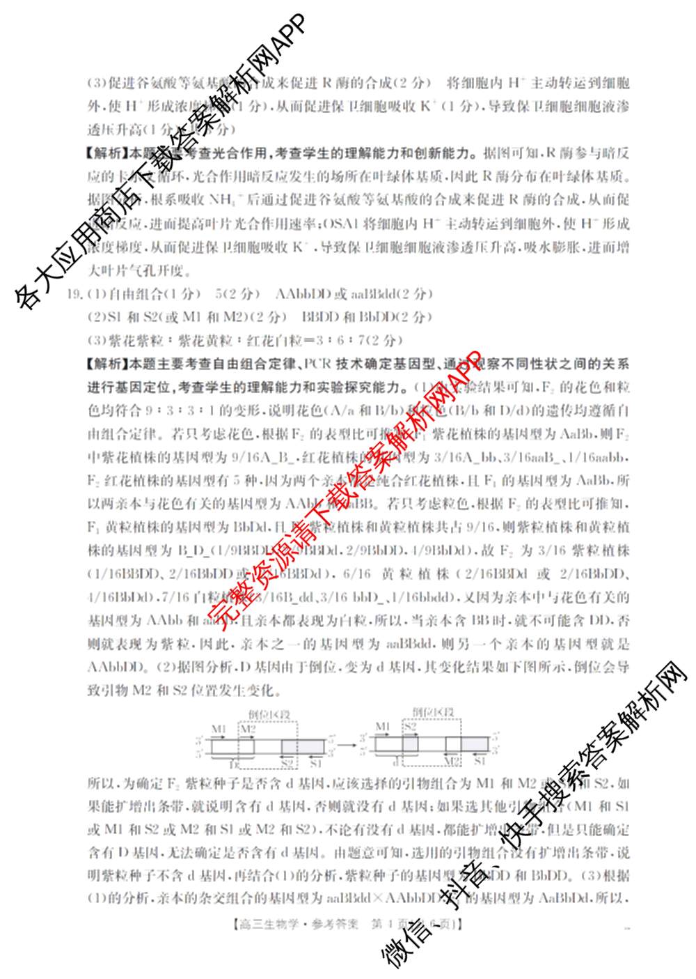 陕西省2026届高三考试(4.7)（含化学、英语、物理等）生物答案