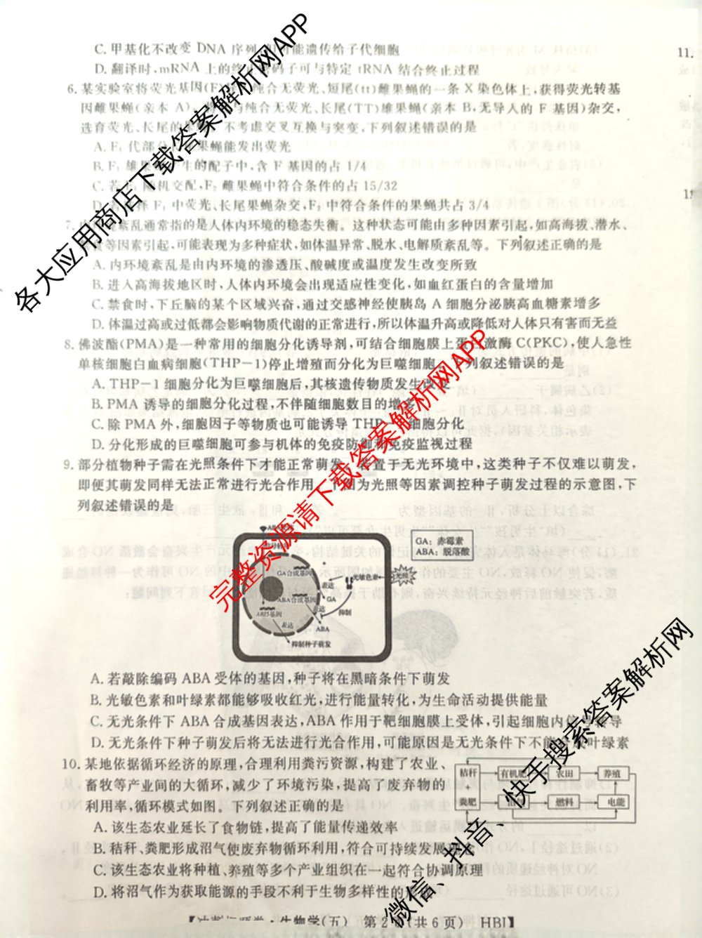 2026普通高等学校招生全国统一考试冲刺押题卷(五)5试卷及答案汇总: 含物理、数学(B)、生物(AC)试卷解析生物试题