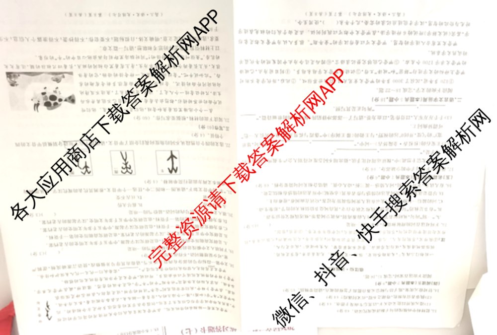 黄冈八模2026届高三大练(七)7（含历史(SD)、地理、物理(JX)等）语文试题