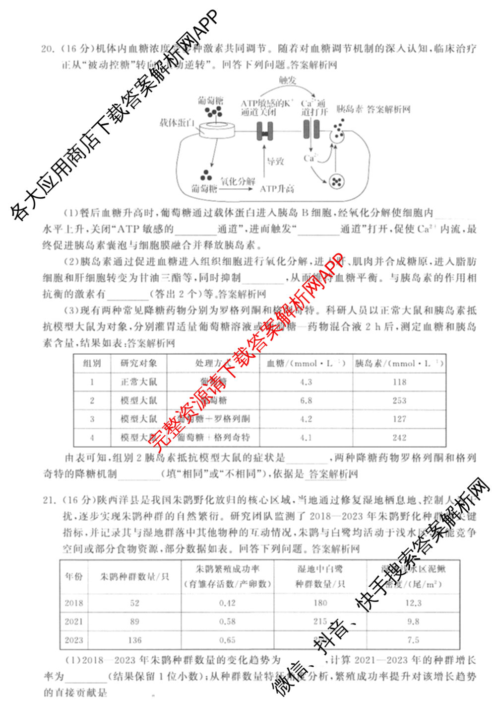 天舟高考衡中同卷2026年普通高等学校招生全国统一考试模拟信息卷(六)6试卷及答案汇总: 含地理、物理(JY)、物理(山东版)试卷解析生物试题