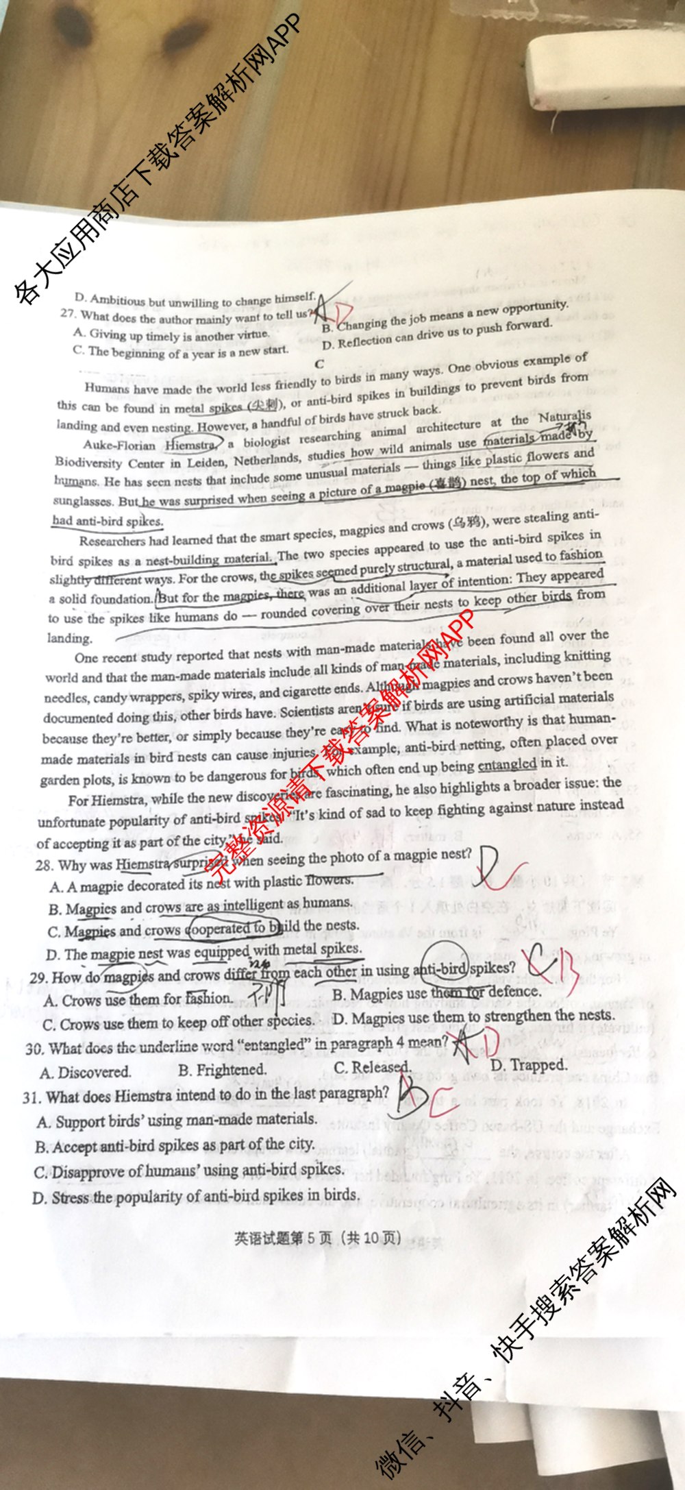 西北师大附中2024届高三第三次诊断考试试卷及答案汇总(已更新化学 政治 数学等9份)英语试题