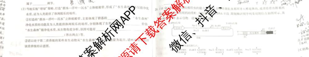 天一大联考2026届高三冲刺(六)6（含政治、数学、化学等27份）生物试题