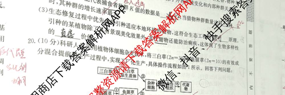 2026届全国高考调研模拟信息卷(一)1各科答案及试卷（含生物(C4) 生物(C2) 物理(C1)等）生物试题
