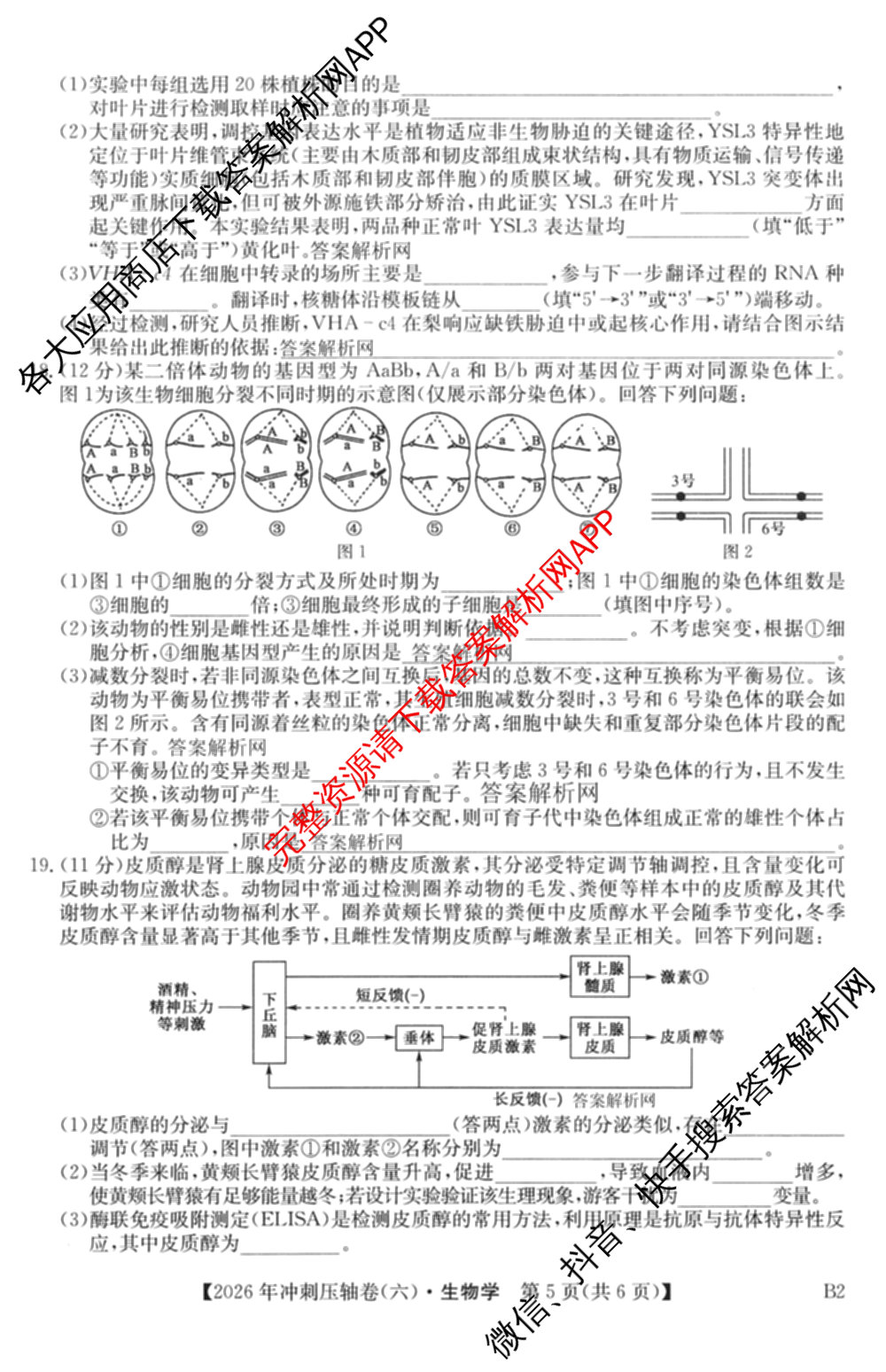 2026年全国高考冲刺压轴卷(六)6试卷及答案汇总（67科全）生物试题