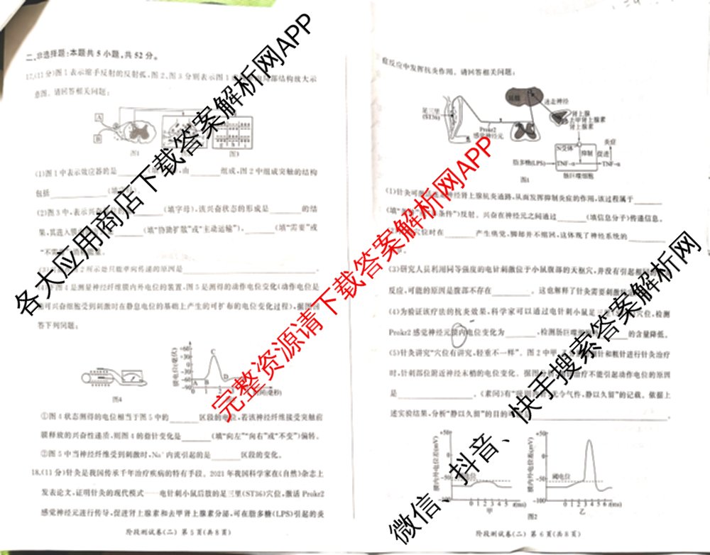 百师联盟2025-2026学年高二上学期阶段测试卷(二)2试卷及答案汇总（含化学(人教版90分钟·多选)、化学(人教版75分钟·单选)、政治(75分钟)等26份）生物试题