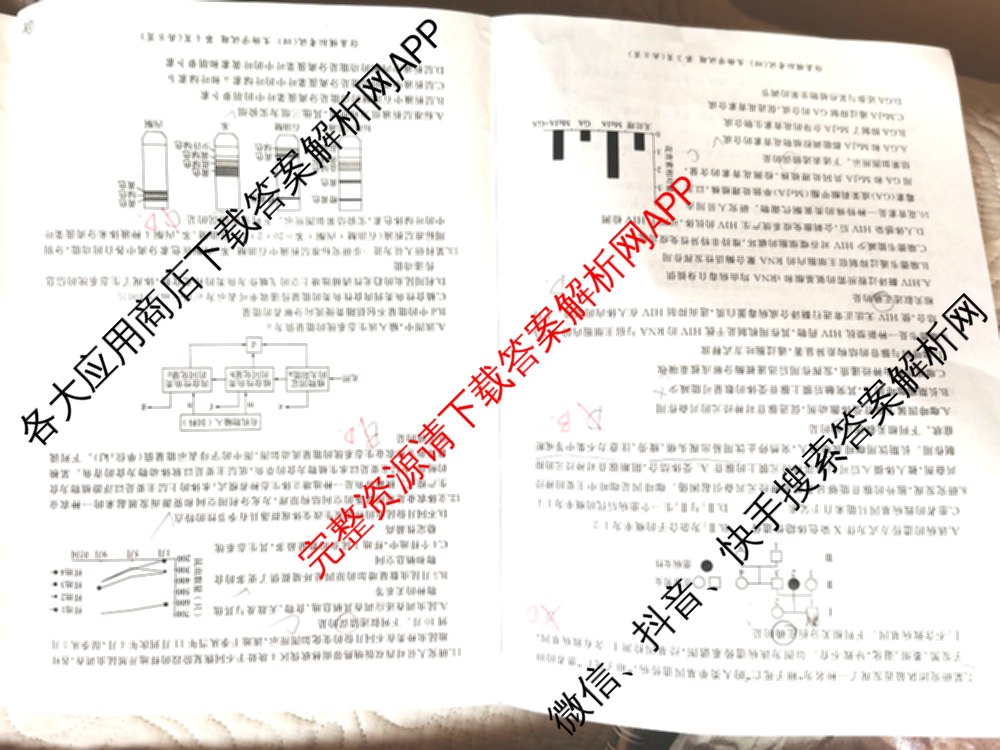 百师联盟2026届高三仿真模拟考试(四)（25科全）生物试题