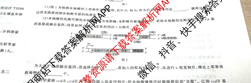 天舟高考衡中同卷2025届全国高三联合性检测(4月)（含物理(L专版)、生物(AH专版)、物理(J专版)等）生物试题