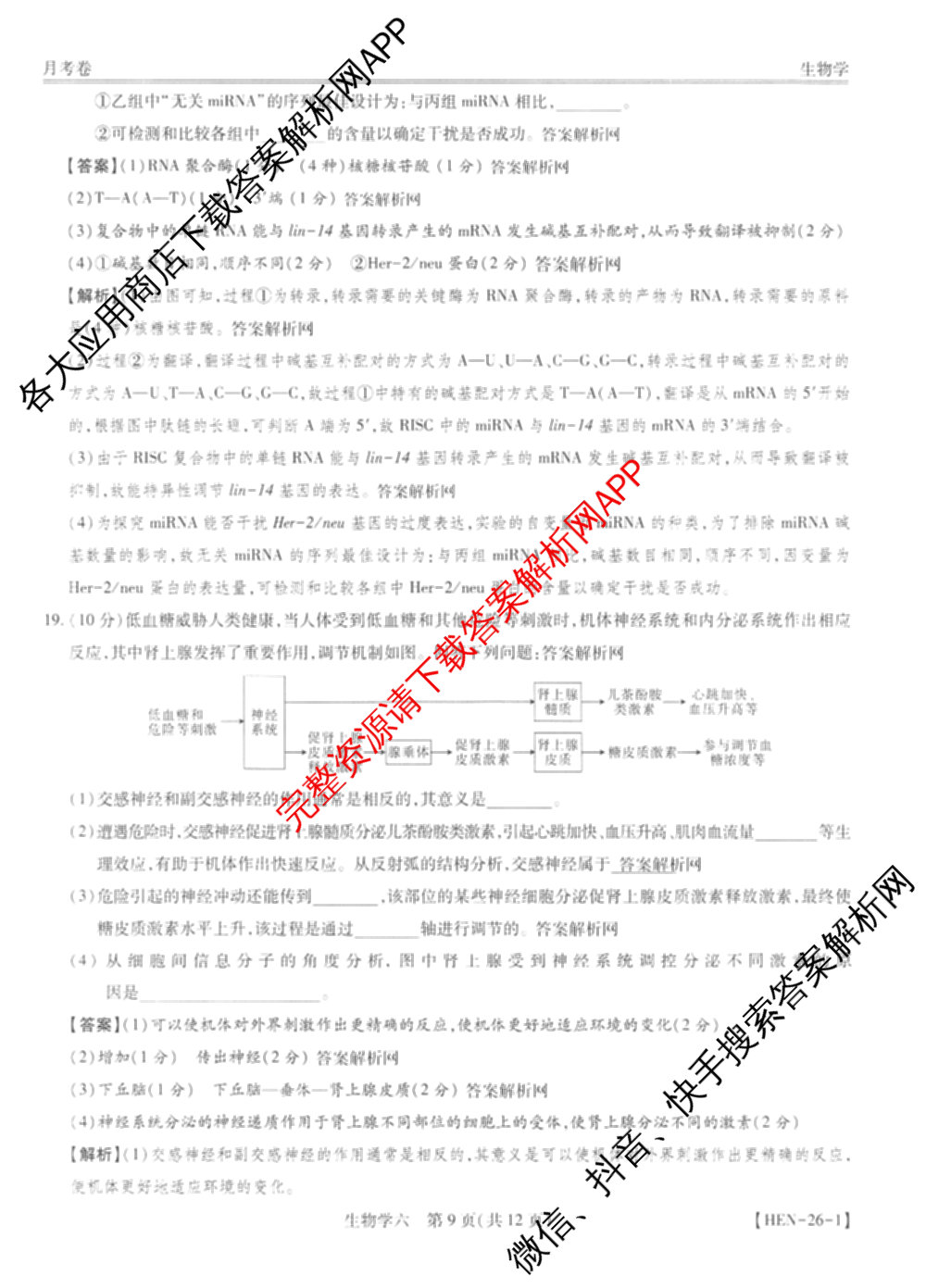 智慧上进2026届高三总复双向达标月考调研卷(六)6各科答案及试卷（含政治 数学(I) 英语(I)等）生物答案