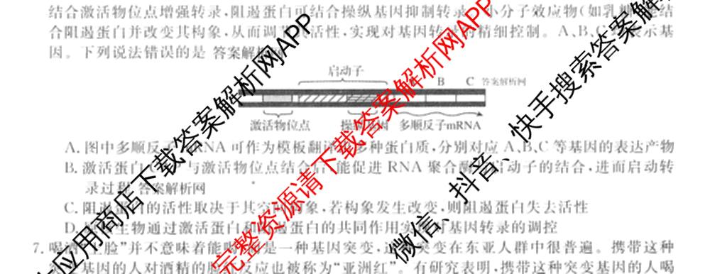 2026届名校大联盟高三月考卷(七)7试卷及答案汇总: 含数学 化学 历史试卷解析生物试题