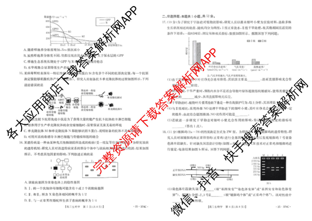 黔东南州2025届高三模拟统测(374C): 含政治 语文 英语试卷解析生物试题