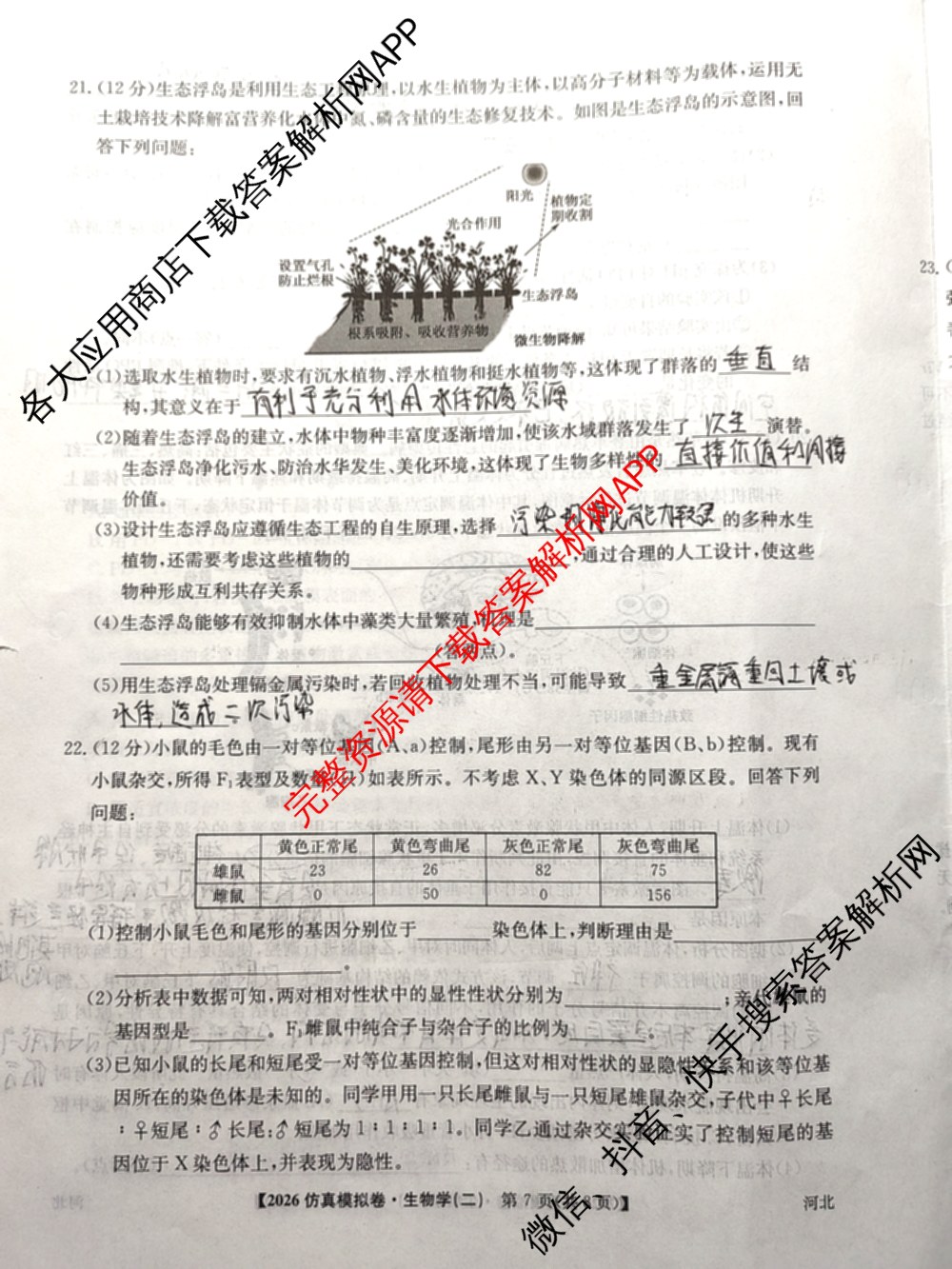 2026年普通高等学校招生全国统一考试仿真模拟卷(二)2（含生物(F2)、物理(F1)、政治(F2)等）生物试题