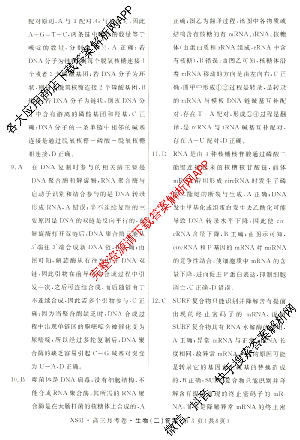 名校联考2026届高三总复月考卷(二)2各科答案及试卷(含化学(XS6J) 英语(XS6) 历史(XS6J)等)生物答案 名校联考2026届高三总复月考卷(二)2各科答案及试卷(含化学(XS6J) 英语(XS6) 历史(XS6J)等)生物答案