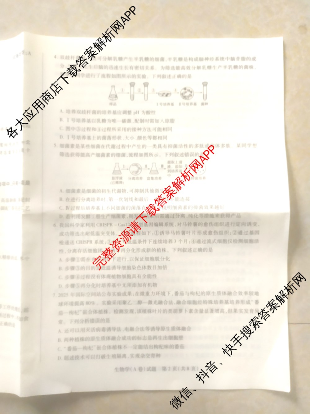 天一大联考2024-2025学年(下)高二年级期中考试: 含生物(B卷)、政治(A)、历史试卷解析生物试题