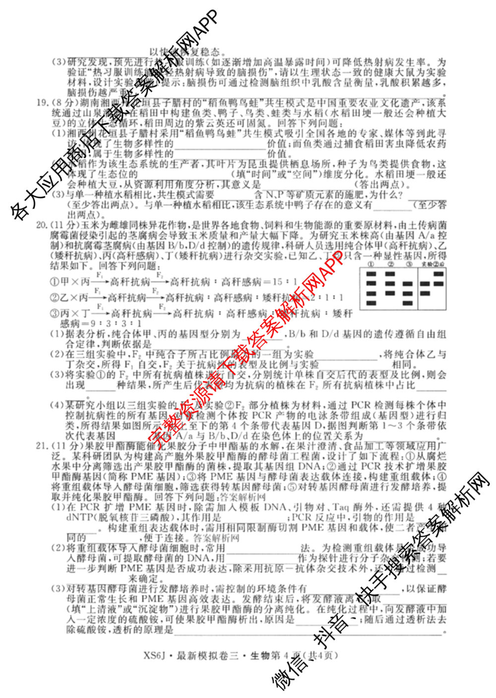2026年普通高等学校招生统一考试最新模拟卷(三)3(已更新化学(XS6J)、历史(新S6J)、生物(HN6)等40份)生物试题