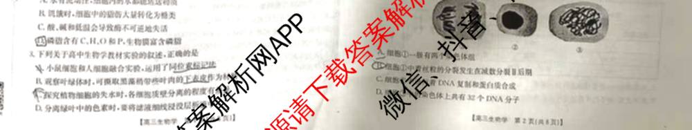 安徽省2026届高三年级阶段监测联合考试各科答案及试卷（含英语 语文 生物等）生物试题