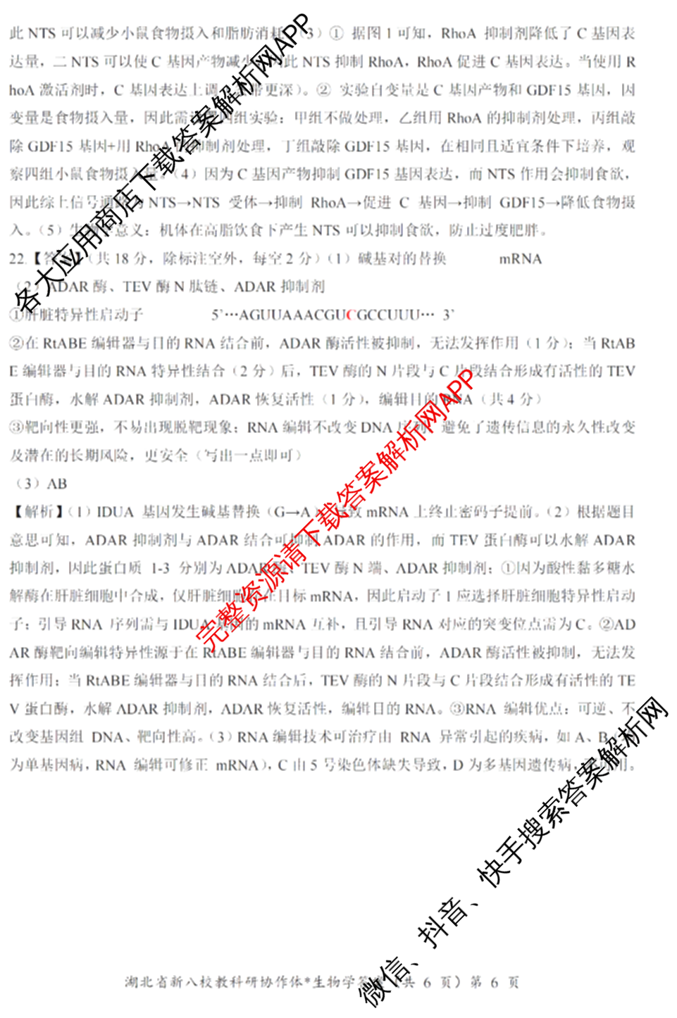 湖北省新八校协作体2025届高三5月联考(5.3)各科答案及试卷: 含历史 物理 英语试卷解析生物答案